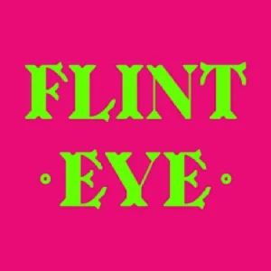 Flint Eye Product Logo